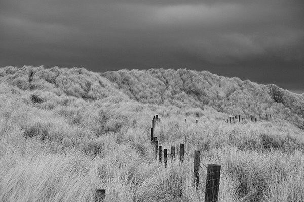 Storm Clouds at Bambburgh Sanddunes Picture Board by Rob Washington
