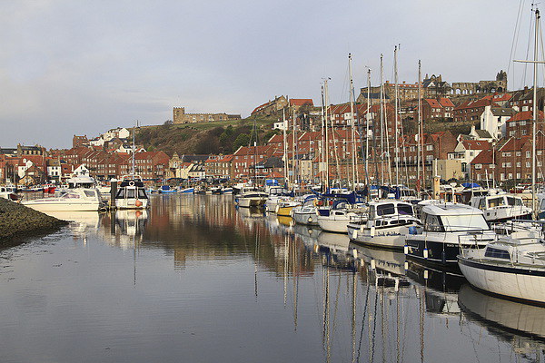River Esk Whitby  Picture Board by Rob Washington