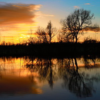 Buy canvas prints of Sunset at the Pond by Rob Washington