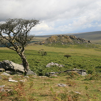 Buy canvas prints of Dartmoor View by John Piper