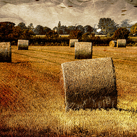 Buy canvas prints of  Glowing Hay Rolls by dave mcnaught