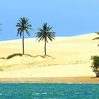Buy canvas prints of  Golden Sands Brazil by dave mcnaught