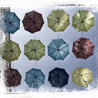 Buy canvas prints of Umbrella's by dave mcnaught