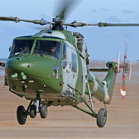 Buy canvas prints of Lynx landing on the beach by Rachel & Martin Pics