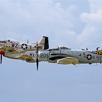 Buy canvas prints of Mustangs and skyraider by Rachel & Martin Pics