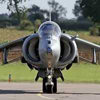 Buy canvas prints of RAF Harrier head on by Rachel & Martin Pics