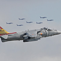 Buy canvas prints of Harrier and friends by Rachel & Martin Pics