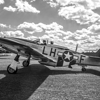 Buy canvas prints of P-51 Mustang G-MSTG by Keith Campbell