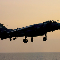 Buy canvas prints of  Sunset Sea Harrier by Keith Campbell