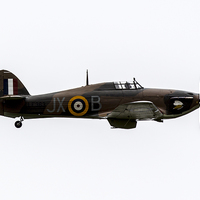 Buy canvas prints of  RAF BBMF Hurricane LF363 by Keith Campbell