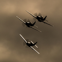 Buy canvas prints of P-51 Mustang Trio by Keith Campbell