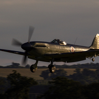 Buy canvas prints of  Supermarine Seafire XVII by Keith Campbell