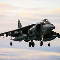 Buy canvas prints of RAF Harrier landing by Keith Campbell