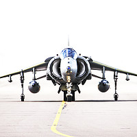 Buy canvas prints of RAF Harrier head-on by Keith Campbell