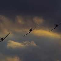Buy canvas prints of Dusk Harvard Trio by Keith Campbell