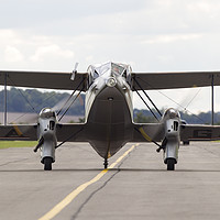 Buy canvas prints of Dragon Rapide by Keith Campbell