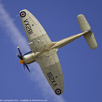 Buy canvas prints of Hawker Sea Fury by Keith Campbell