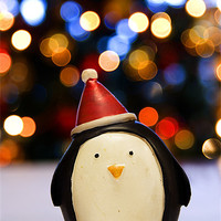 Buy canvas prints of FESTIVE PENGUIN by simon keeping