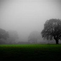 Buy canvas prints of MISTY MEADOW by simon keeping