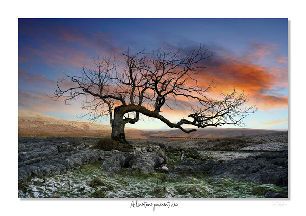 A limestone pavement view Picture Board by JC studios LRPS ARPS