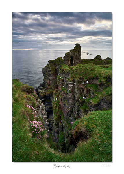 Natures retreat castle Scotland Picture Board by JC studios LRPS ARPS