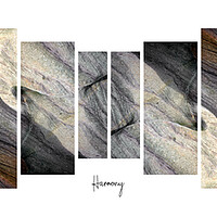 Buy canvas prints of Harmony by JC studios LRPS ARPS
