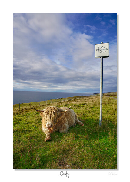 Coosday in  Scotland  Picture Board by JC studios LRPS ARPS