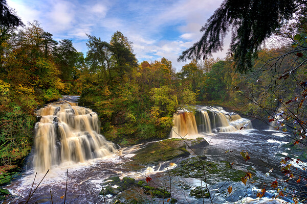 Falls of Clyde in  autumn No 2 Picture Board by JC studios LRPS ARPS