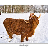 Buy canvas prints of Highland cow trying to catch  snowflakes by JC studios LRPS ARPS
