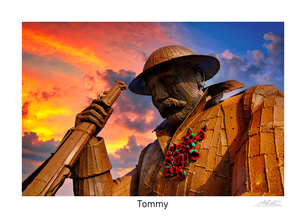 Tommy at Seaham  Picture Board by JC studios LRPS ARPS