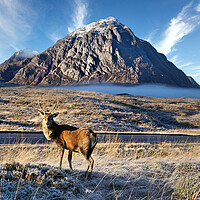 Buy canvas prints of First signs of Wintyer in Glencoe by JC studios LRPS ARPS