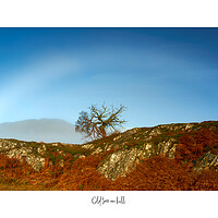 Buy canvas prints of Old tree on the hill by JC studios LRPS ARPS