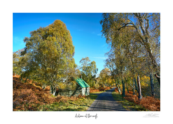Autumn at the croft Picture Board by JC studios LRPS ARPS