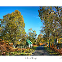 Buy canvas prints of Autumn at the croft by JC studios LRPS ARPS