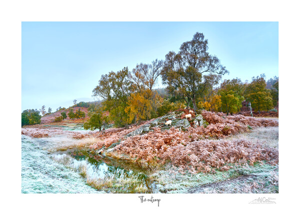 The outcrop.. A frosy  autumnal start to the day. Picture Board by JC studios LRPS ARPS