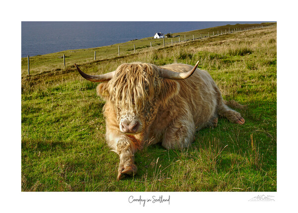 Coosday in Scotland  Picture Board by JC studios LRPS ARPS