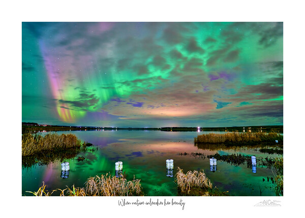 When nature unleashes her beauty Picture Board by JC studios LRPS ARPS