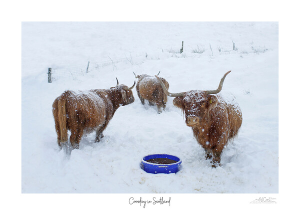 Coosday in Scotland Picture Board by JC studios LRPS ARPS