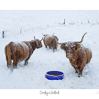 Buy canvas prints of Coosday in Scotland by JC studios LRPS ARPS