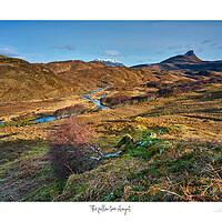 Buy canvas prints of The fallen tree Assynt by JC studios LRPS ARPS