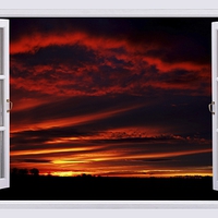 Buy canvas prints of A New Forest sunset by JCstudios by JC studios LRPS ARPS