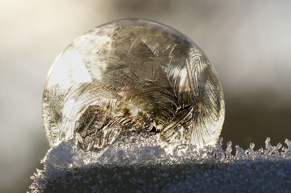 A frozen bubble  Picture Board by JC studios LRPS ARPS