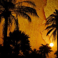 Buy canvas prints of Gambian sunset  by JC studios LRPS ARPS