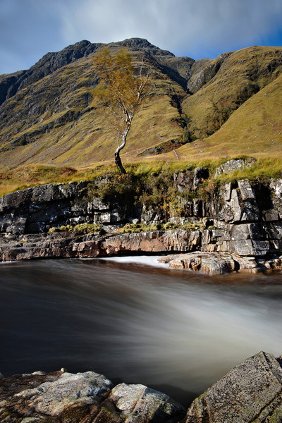 Lone tree at Etive Picture Board by JC studios LRPS ARPS