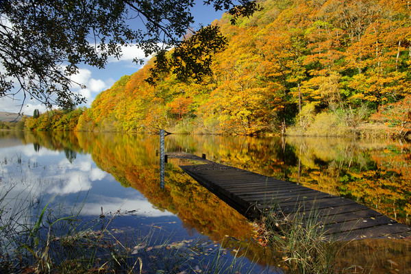 Loch Ard in Autumn Picture Board by JC studios LRPS ARPS