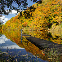 Buy canvas prints of Loch Ard in Autumn by JC studios LRPS ARPS