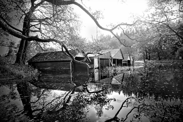 Boat sheds on Loch Ard Picture Board by JC studios LRPS ARPS