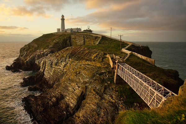 South Stack lighthouse Picture Board by JC studios LRPS ARPS
