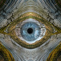 Buy canvas prints of The all seeing eye of nature.. by JC studios LRPS ARPS