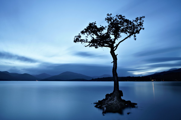 Loch Lomond tree eight minute exposure Picture Board by JC studios LRPS ARPS